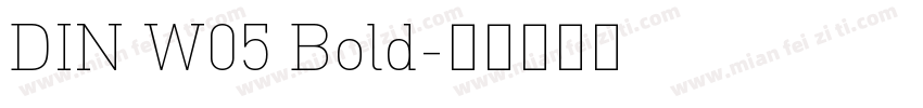 DIN W05 Bold字体转换